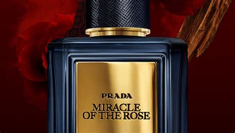 prada zenith au soleil|prada miracle of the rose.